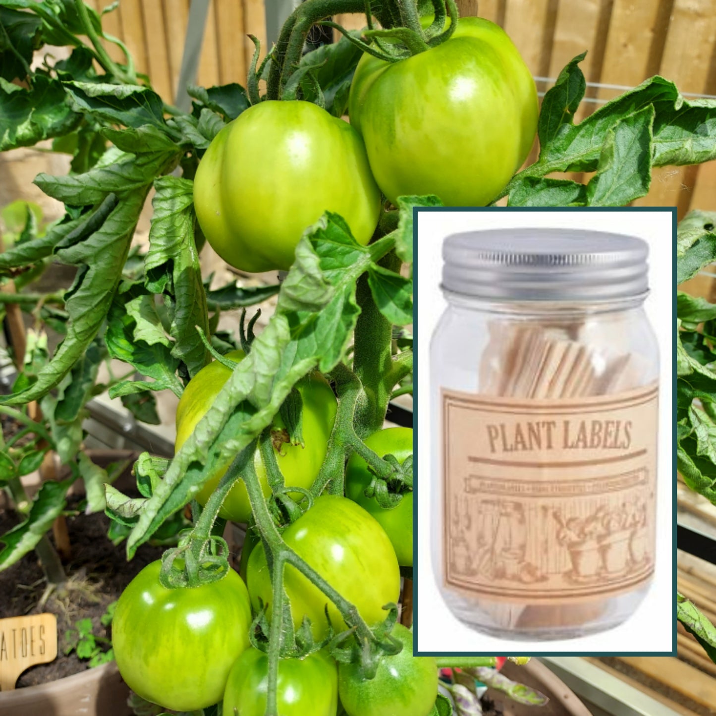 Small Gardens gift set