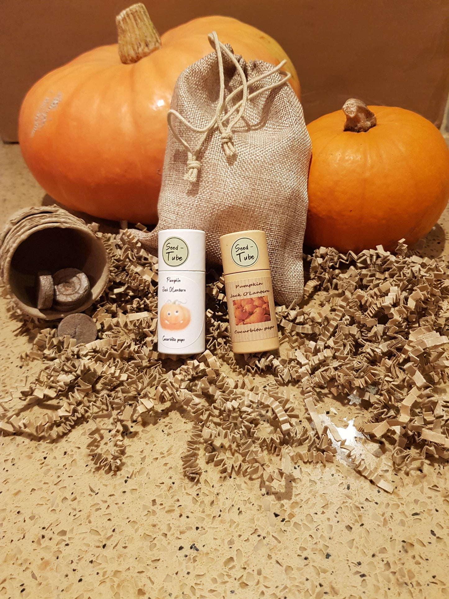 Grow your own pumpkin gift set