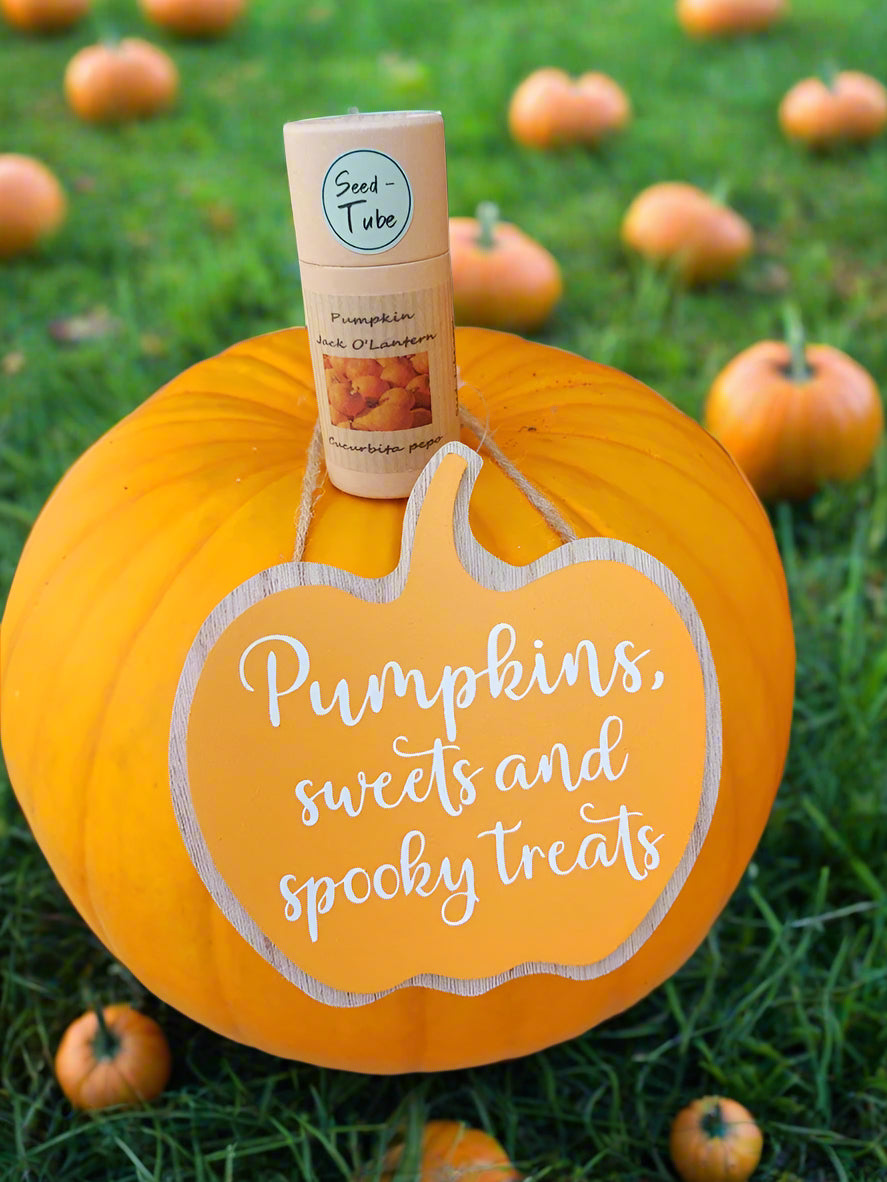 Cute Pumpkin Hanging Sign