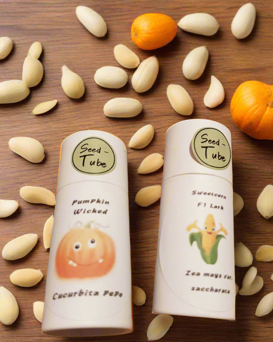 Gift Set for Children - "Pumpkin & Sweetcorn" Seedlings Gift Set