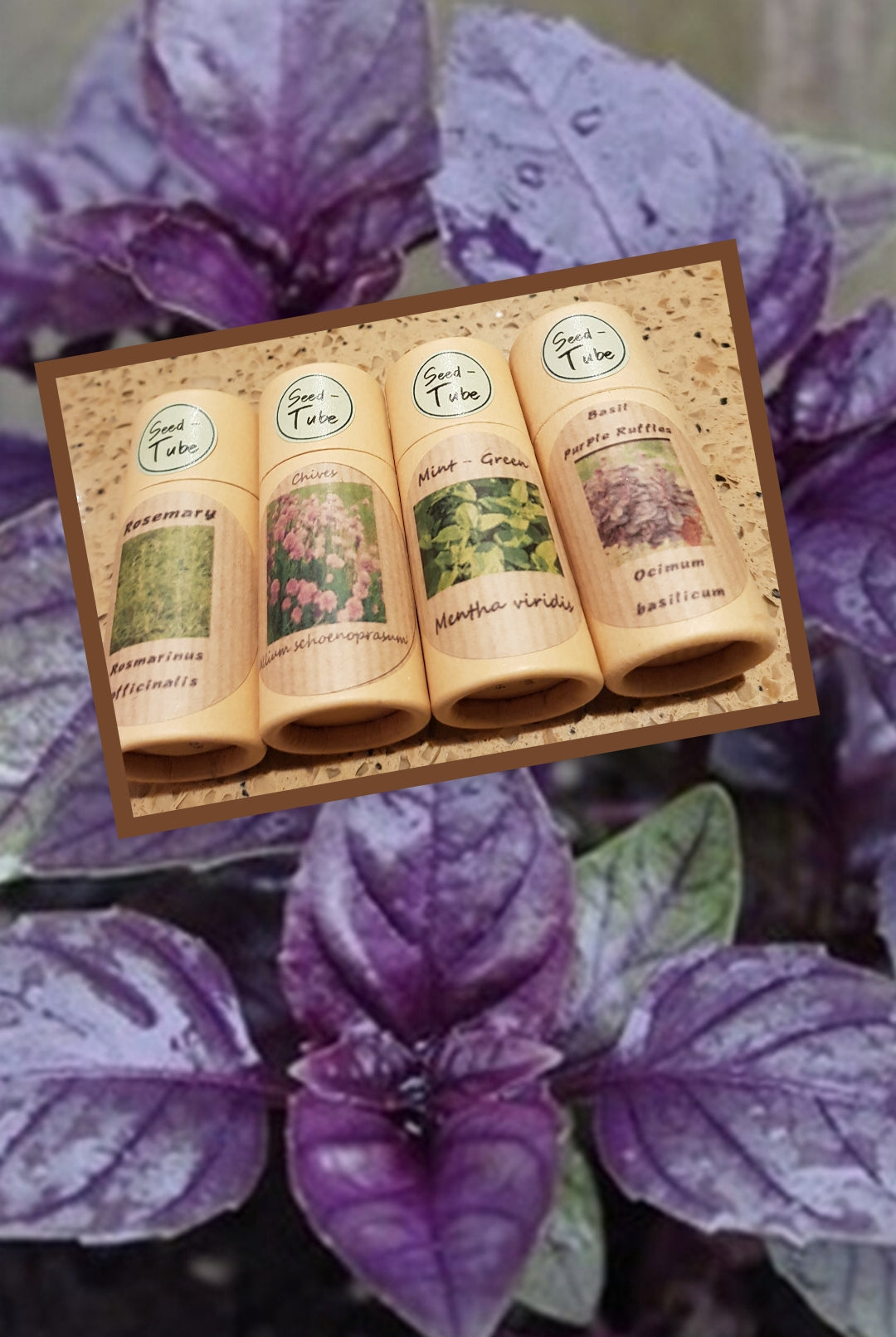 Herb Garden Gift Set