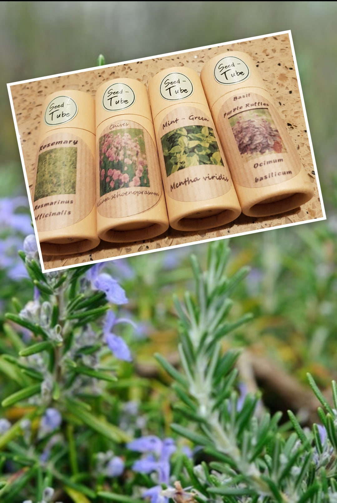 Herb Garden Gift Set