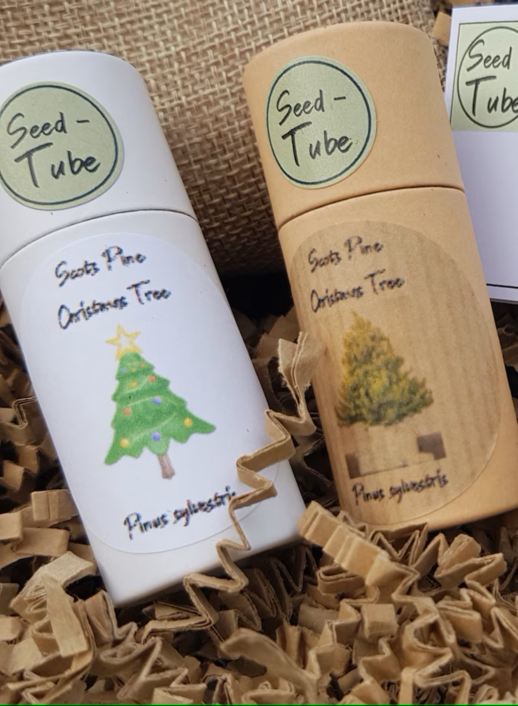 Let it grow this Christmas gift set