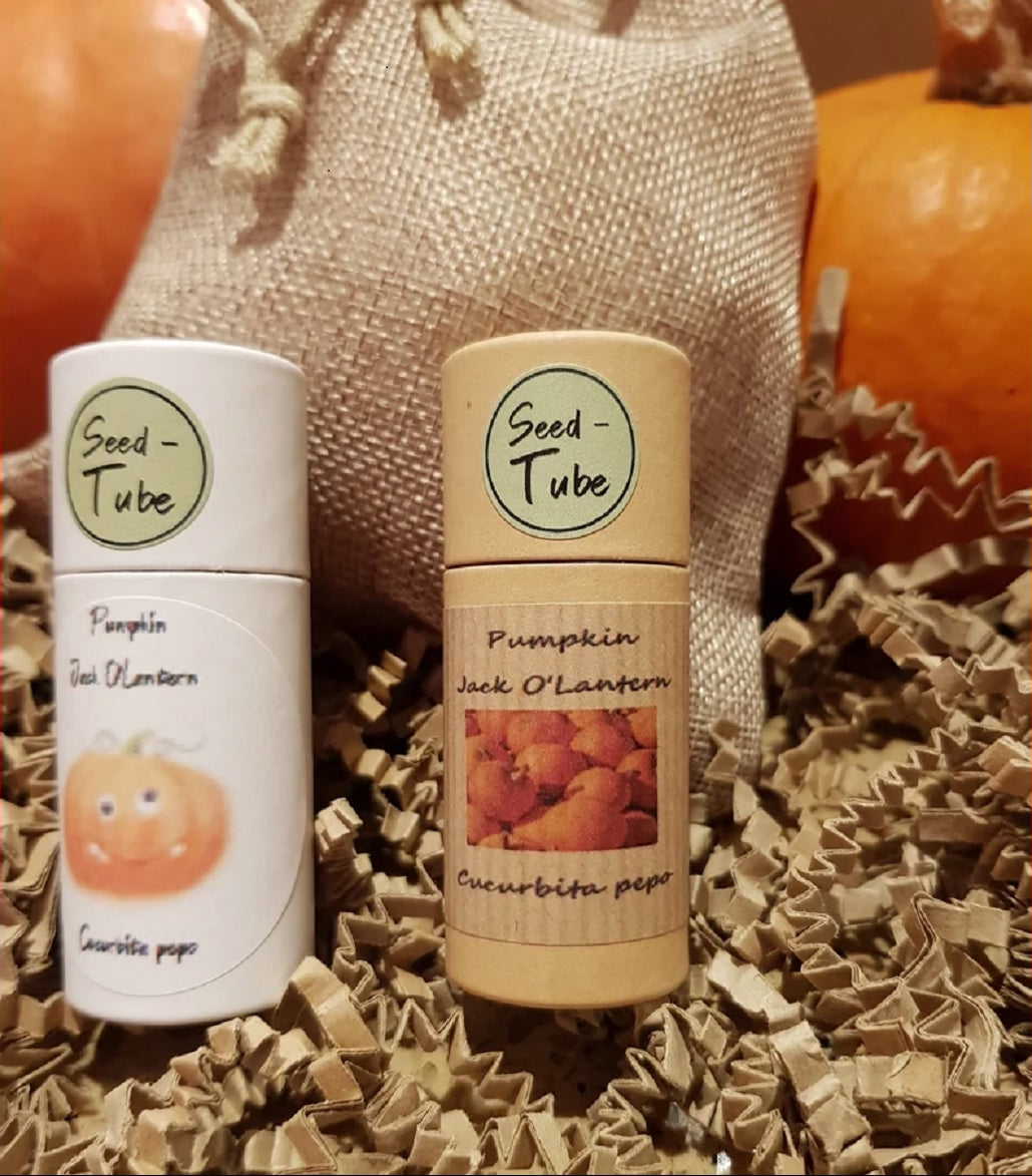 Grow your own pumpkin gift set