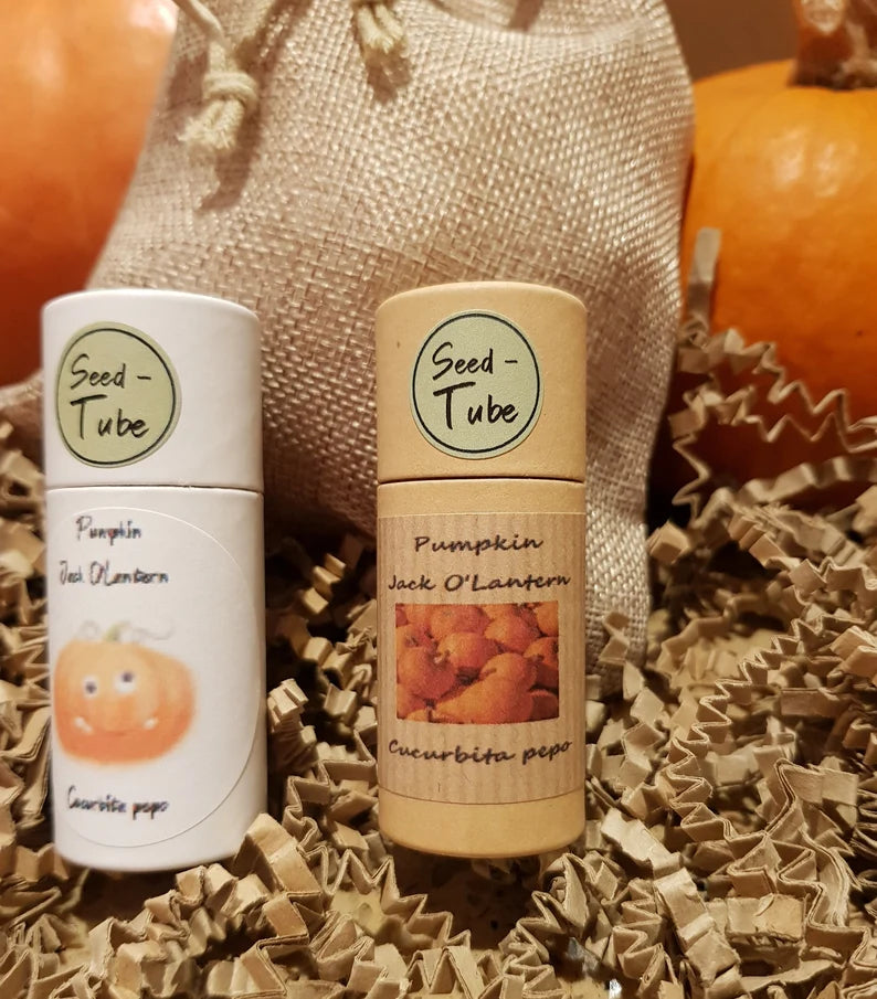 Pumpkin Treat