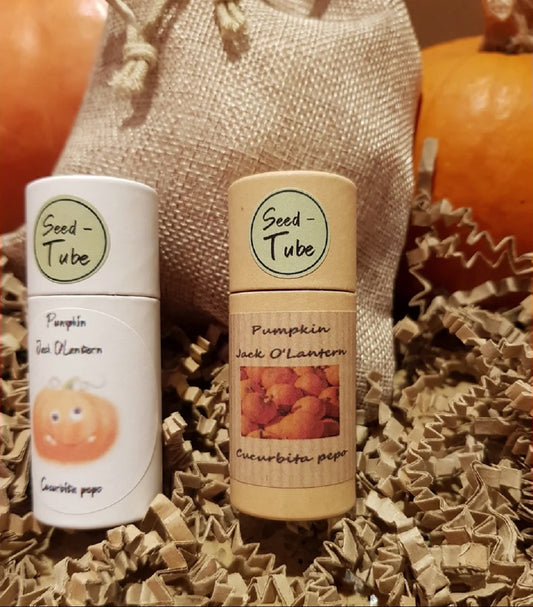 Vegetable Seeds in a Seedtube