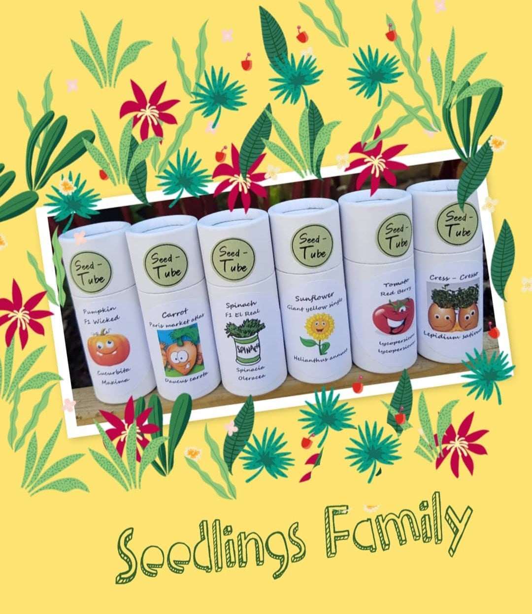 Carrot - Paris Market Atlas in a Seedlings Tube