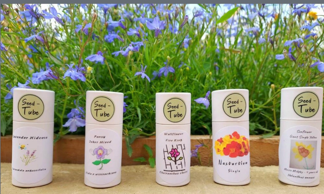 Carrot - Paris Market Atlas in a Seedlings Tube