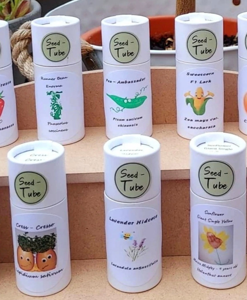 Childrens Seedlings Gift Set