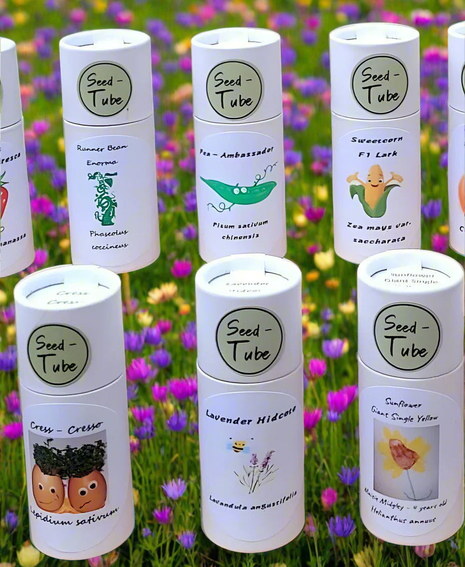 Childrens Seedlings Gift Set