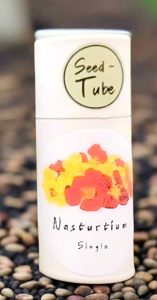 Nasturtium - Tall Single Flowered Mixed Seeds in a Seedlings Tube