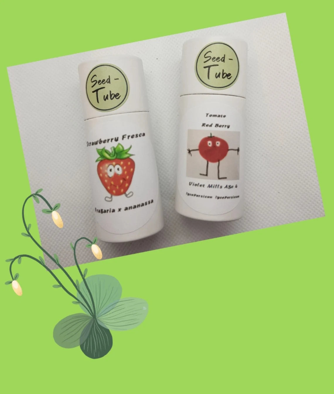 Gift Set for children - Strawberry & Tomato Seedlings Gift Set