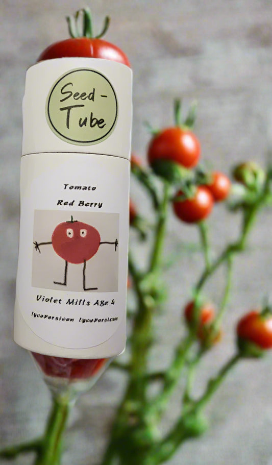 Tomato - Red Berry in a Seedlings Tube