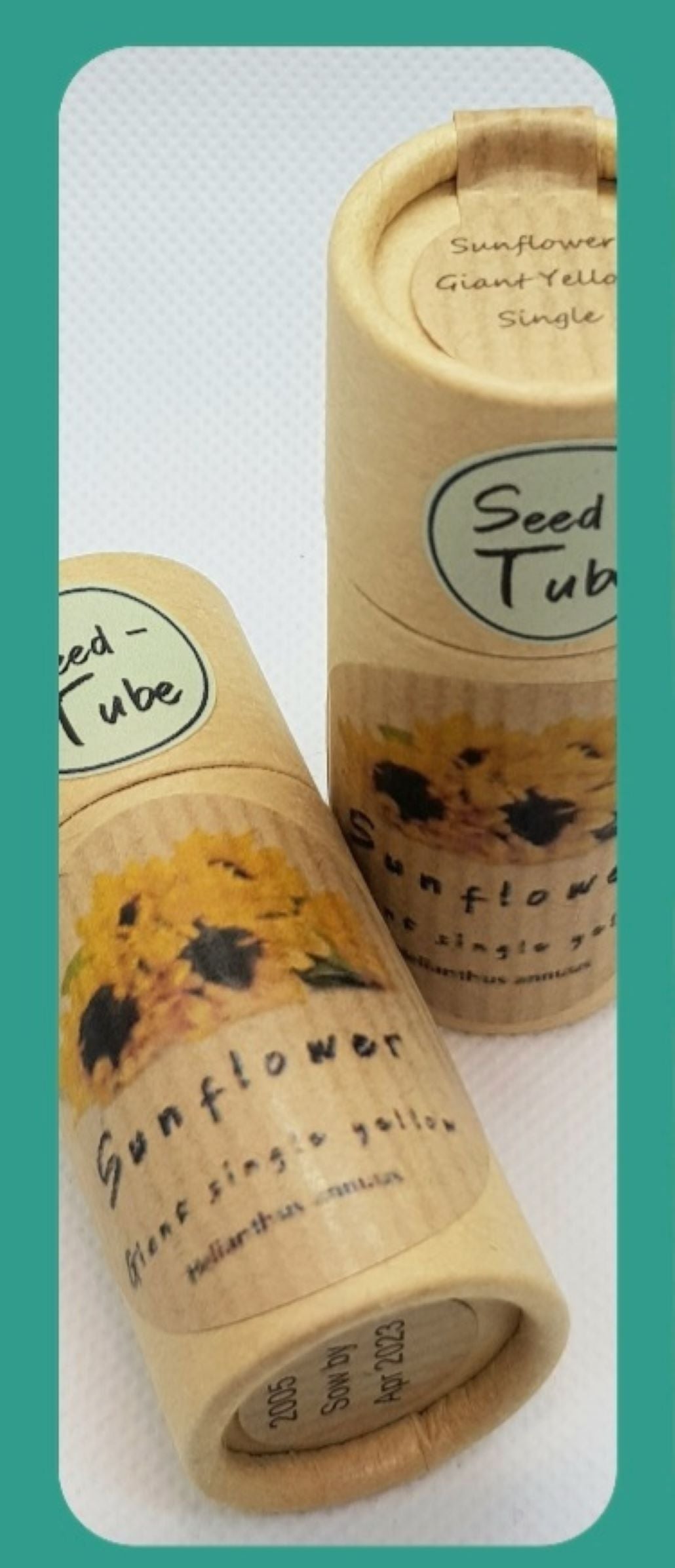 Busy Bee Gardener's Gift Set