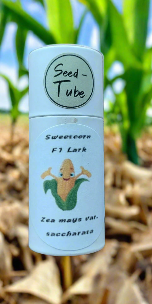 Sweetcorn Seeds in a Seedlings Tube