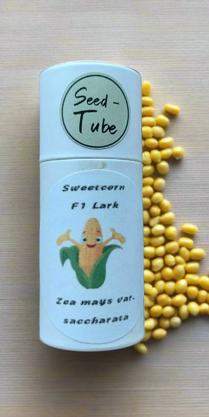 Sweetcorn F1 Seeds in a Seedlings Tube