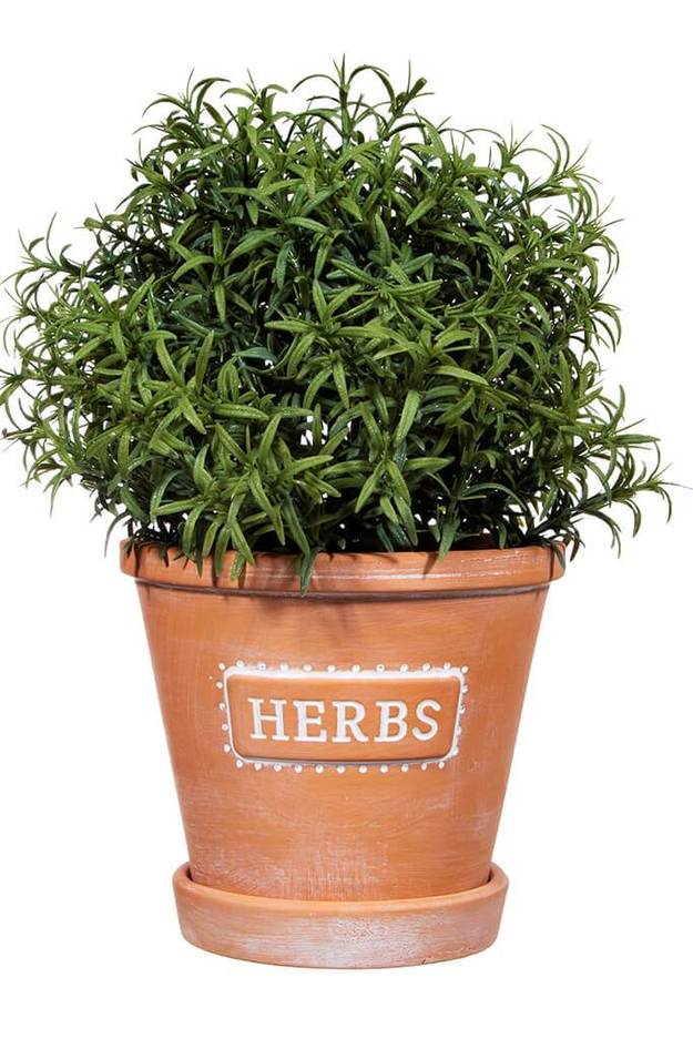 Herb Garden Gift Set