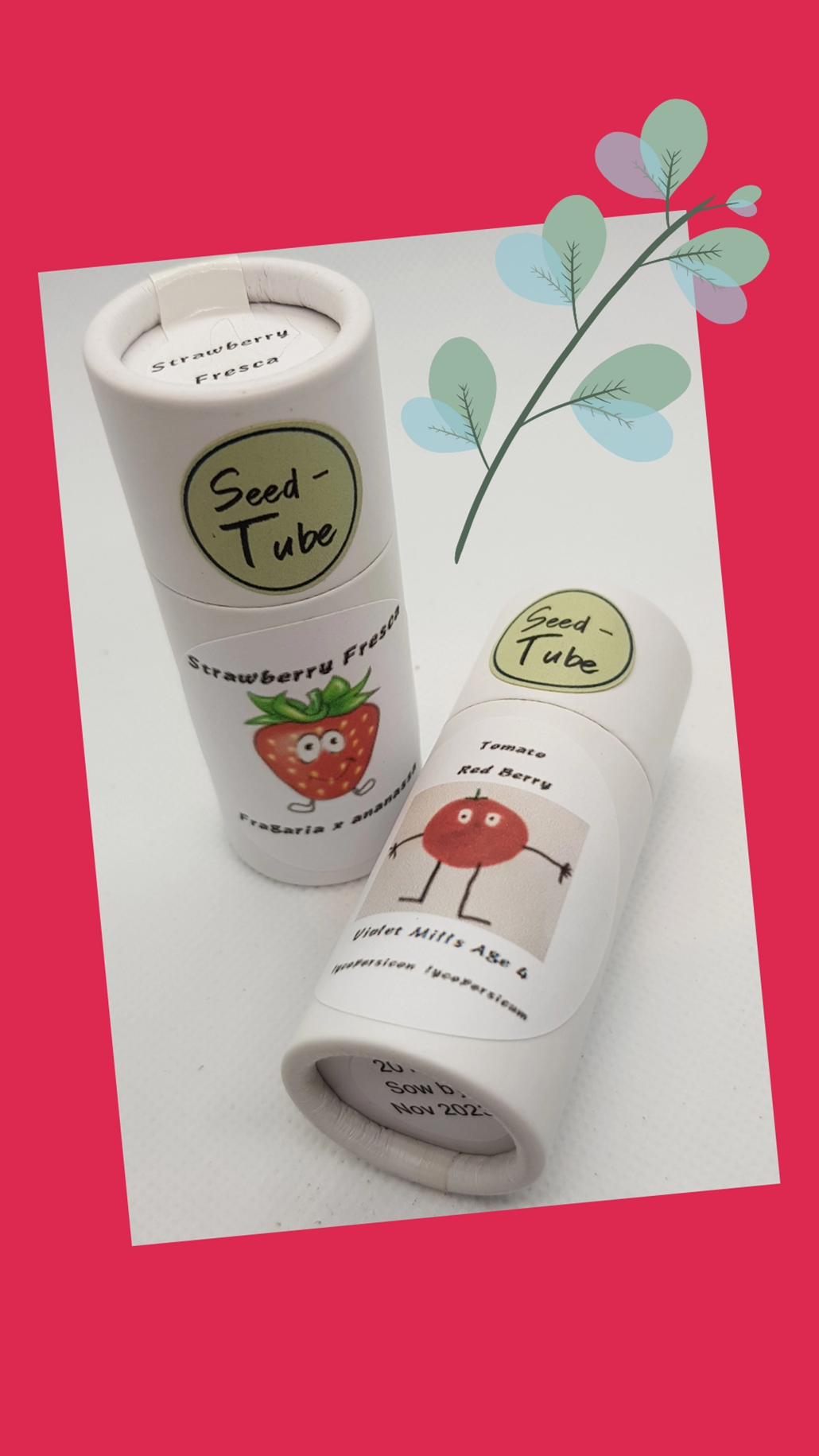 Gift Set for children - Strawberry & Tomato Seedlings Gift Set