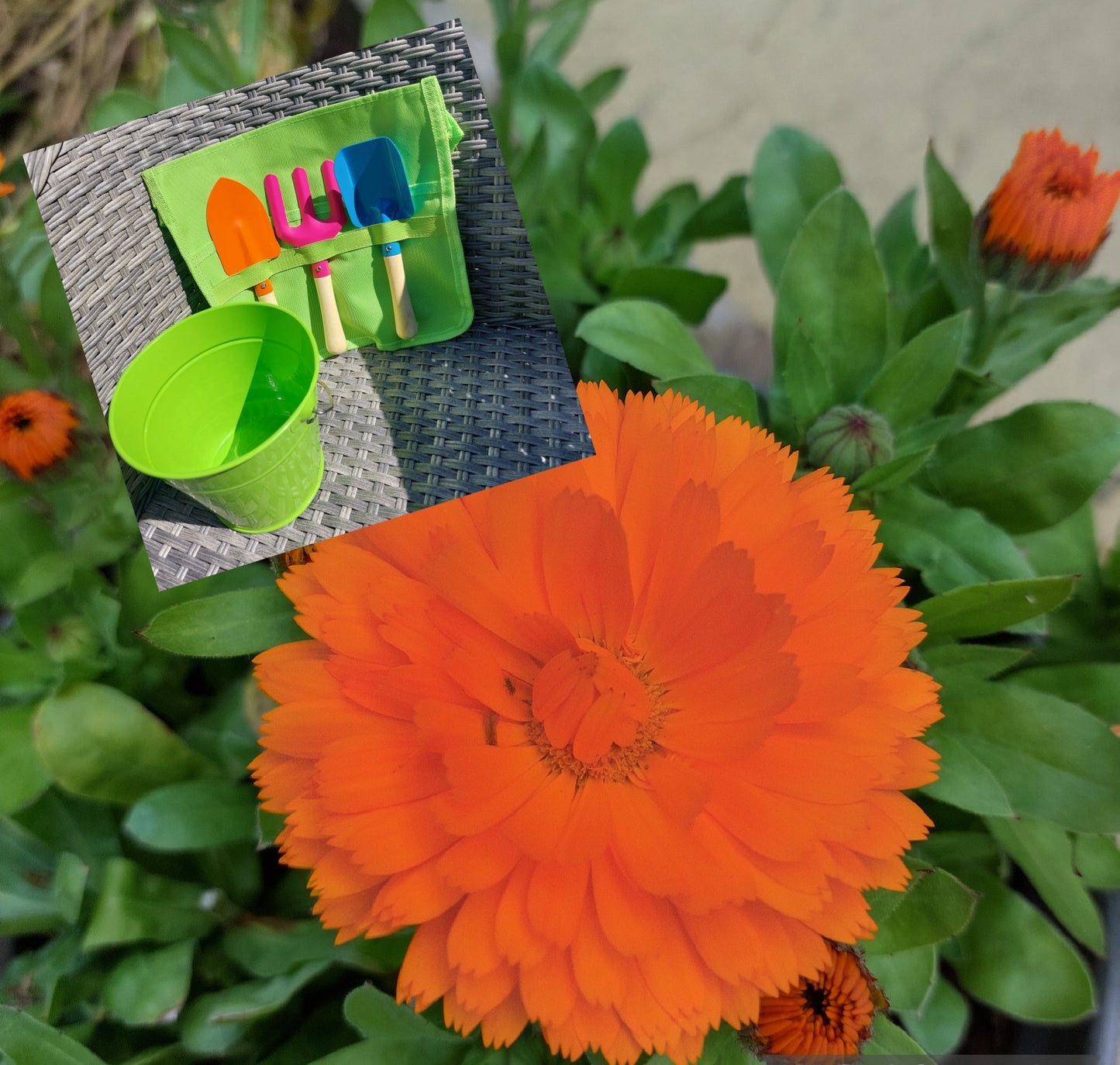 Bucket and Belt - Children's Tool Set