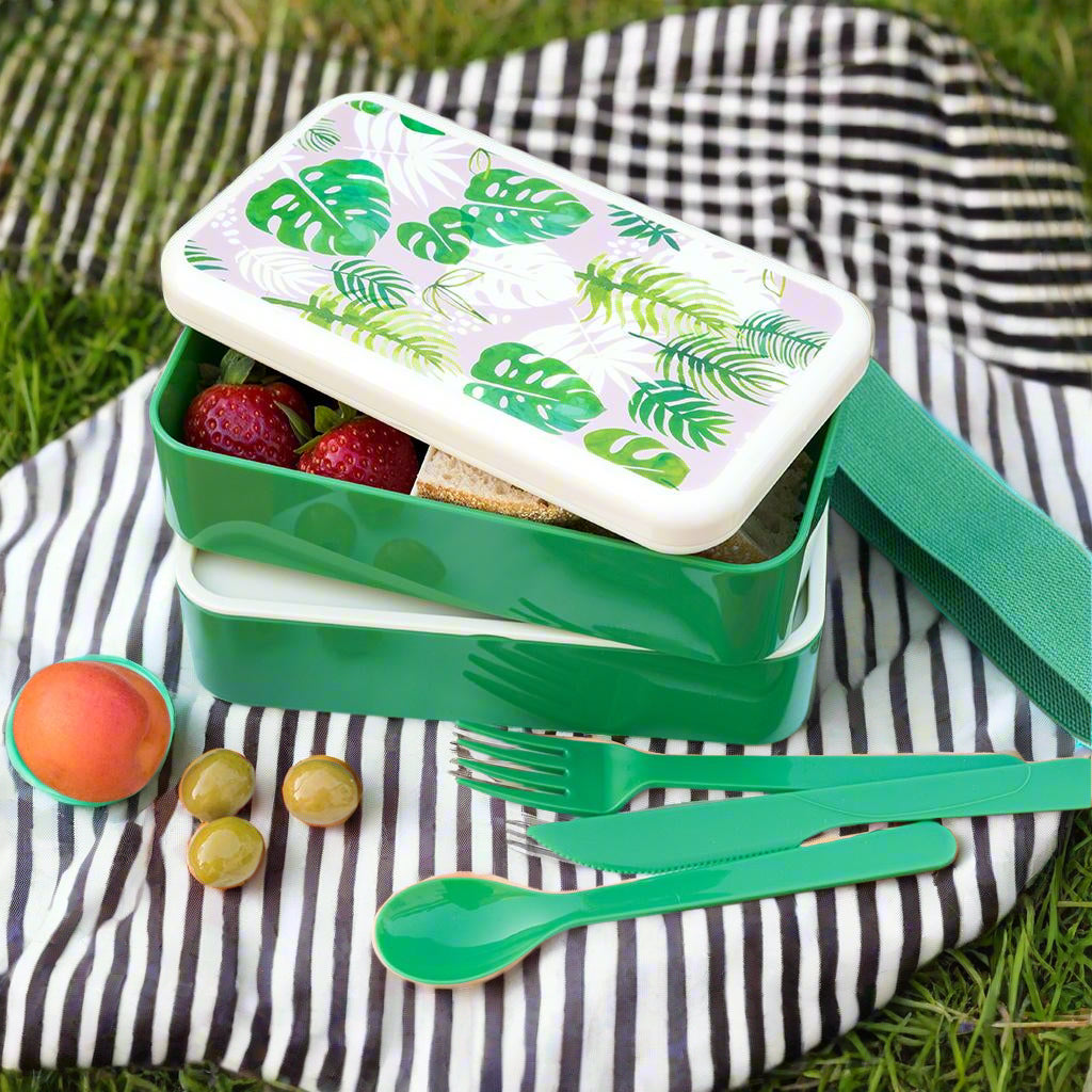 Bento Box - BPA Plastic in various designs