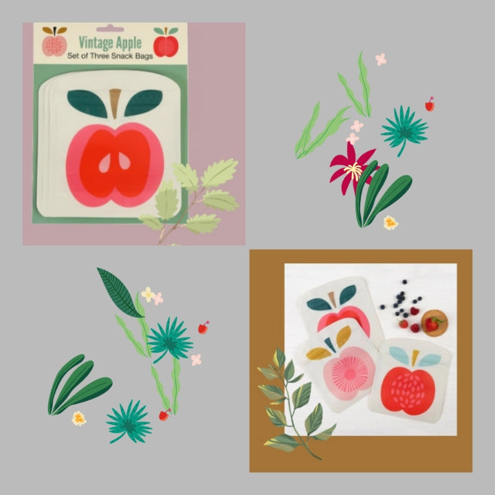 Bento Box & Snack Bags