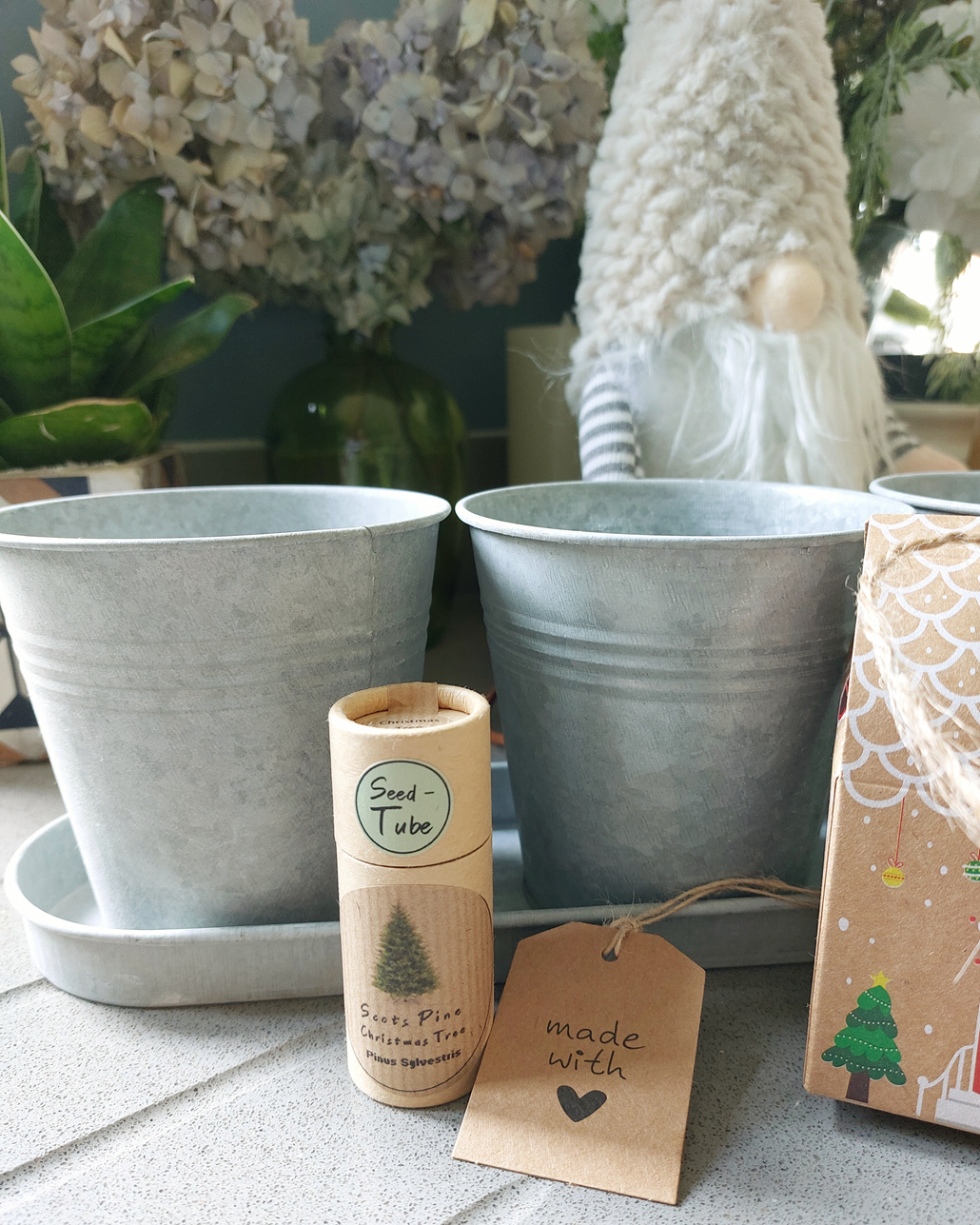 Let it grow this Christmas gift set