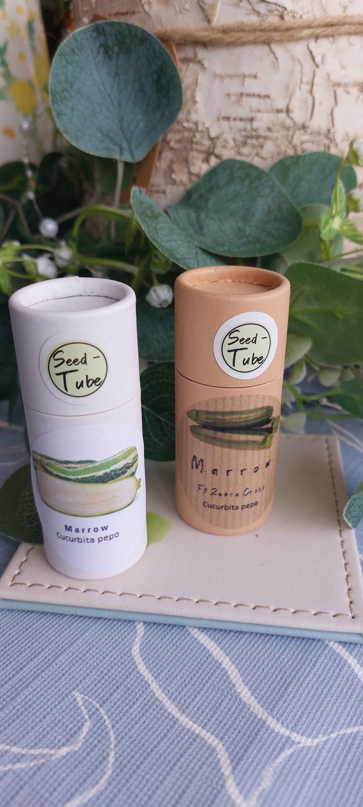 Marrow Seeds in a Seedtube