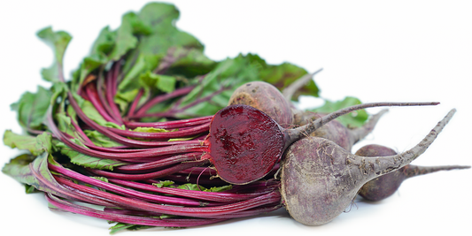 Beetroot Seeds in a Seedtube