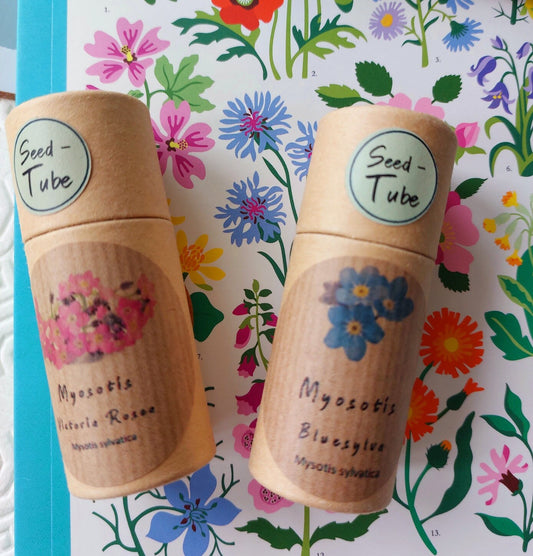 Forget me Not Flower Seeds Gift Set with Mug