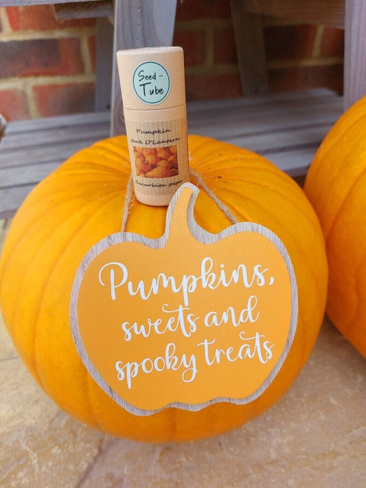 Cute Pumpkin Hanging Sign