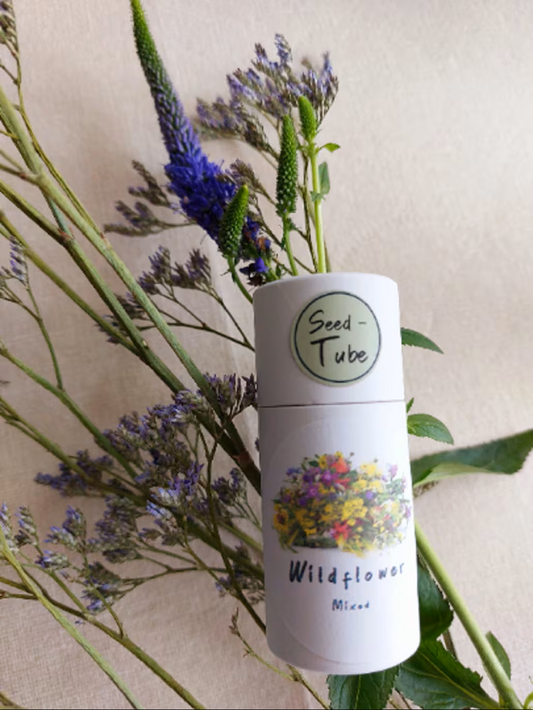 Wildflower Seeds in a Seedlings Tube