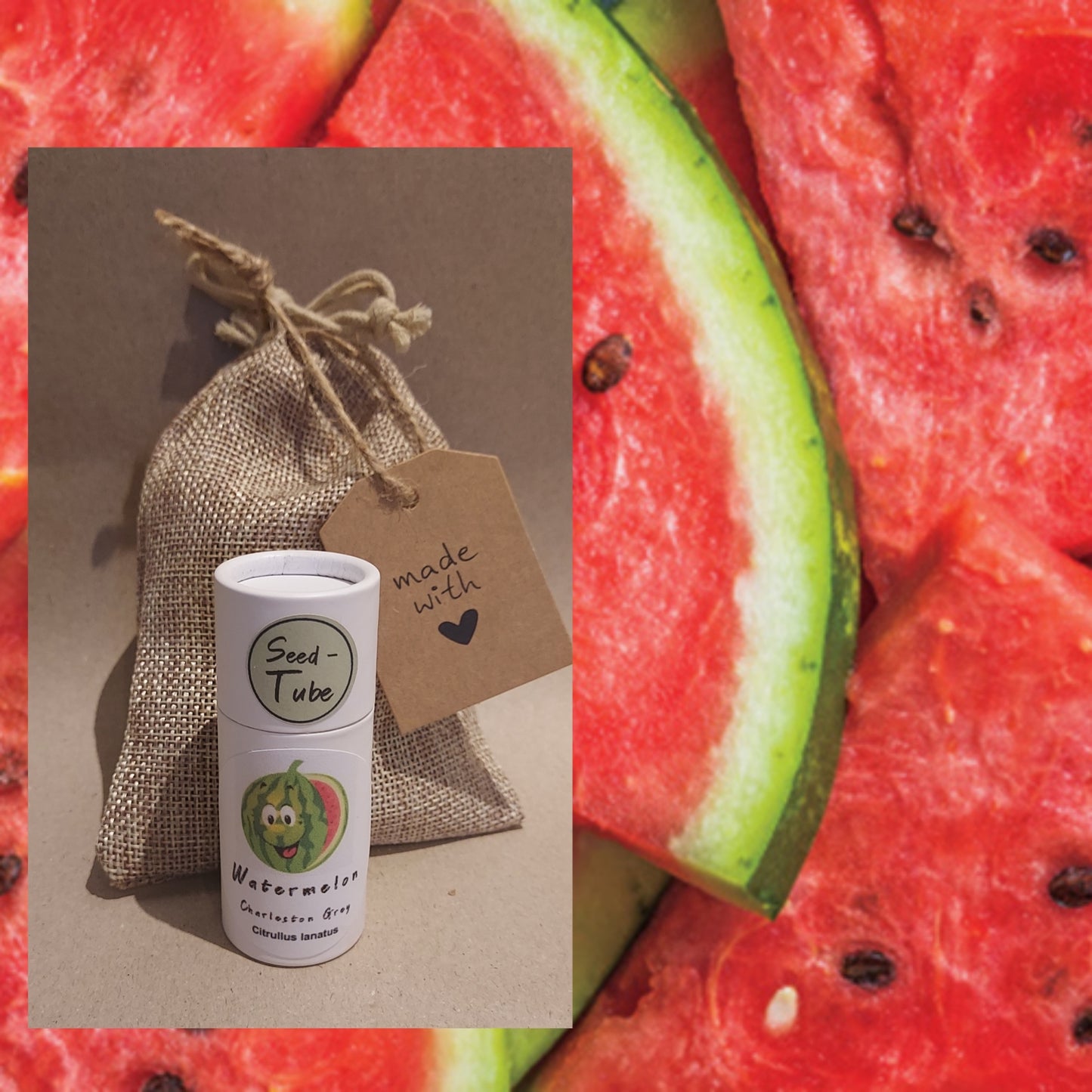 Melon - Charleston Gray Seeds in a Seedlings Tube